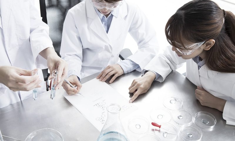 Lab technicians analyze samples